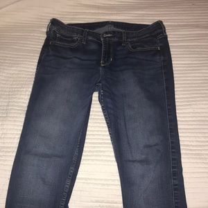 Hollister Jean
